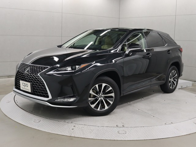 RX 300