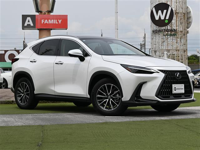 NX250 バージョンL 4WD4WD 本革シート