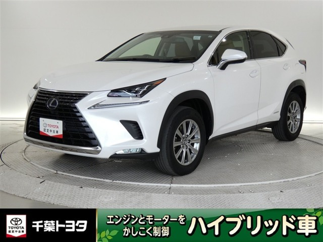NX 300h Iパッケージ 