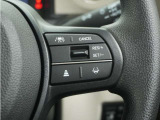 ◆アダプティブクルーズコントロール◆予め設定した車速内でクルマが自動的に加減速。前走車との適切な車間距離を維持しながら追従走行します。【LKAS】車線維持支援システムでステアリング操作を支援。