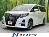 両側電動ドア 純正10型ナビ バックカメラ 衝突被害軽減 ETC
