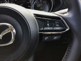 レーダークルーズコントロールを装備。アクセルやブレーキを操作しなくても、自動で先行車との車間距離を保ち追従走行できます。長距離や高速道路を運転する際に、ドライバーへの負担を軽減します。