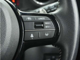 ◆アダプティブクルーズコントロール◆予め設定した車速内でクルマが自動的に加減速。前走車との適切な車間距離を維持しながら追従走行します。【LKAS】車線維持支援システムでステアリング操作を支援。