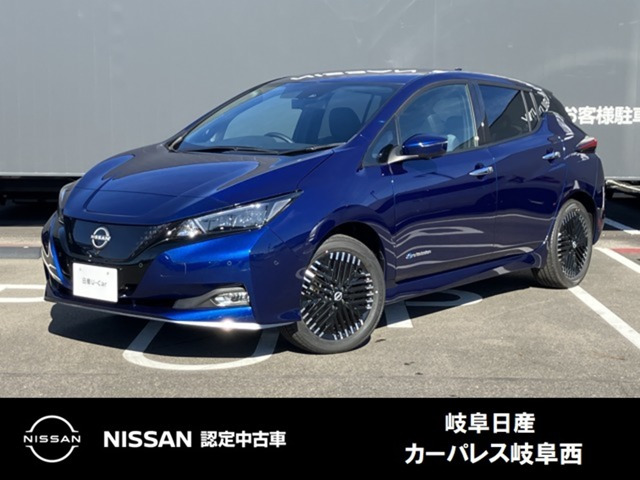 リーフ e+ G