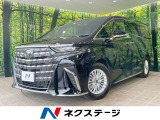 両側電動スライドドア AC100V電源 LEDヘッド スマートキー