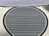 ボンネット1cm〜5cmほどのへこみが複数ある車両となっております。