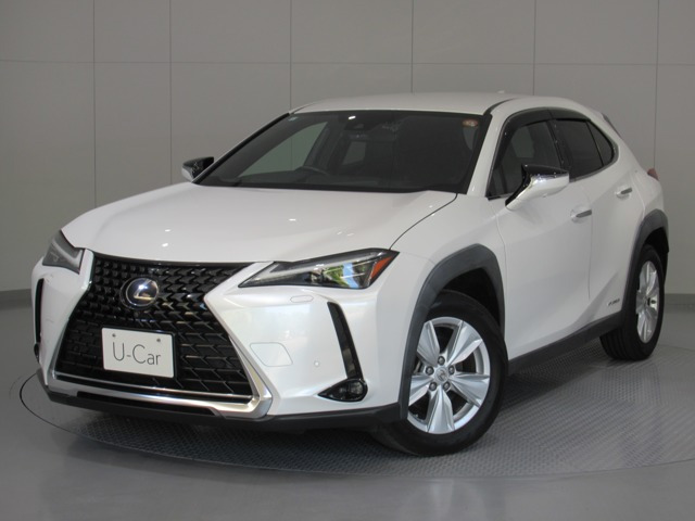 UX 250h バージョンC 