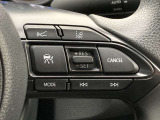 前方の車との車間を設定し、スピードを上げたり緩めたりを自動で行ってくれる追尾式の「レーダークルーズ」。上級装備の一つです!高級車にしかつかない嬉しい機能です。