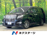 レーダークルーズ 禁煙車 パワーバックドア ハーフレザーシート