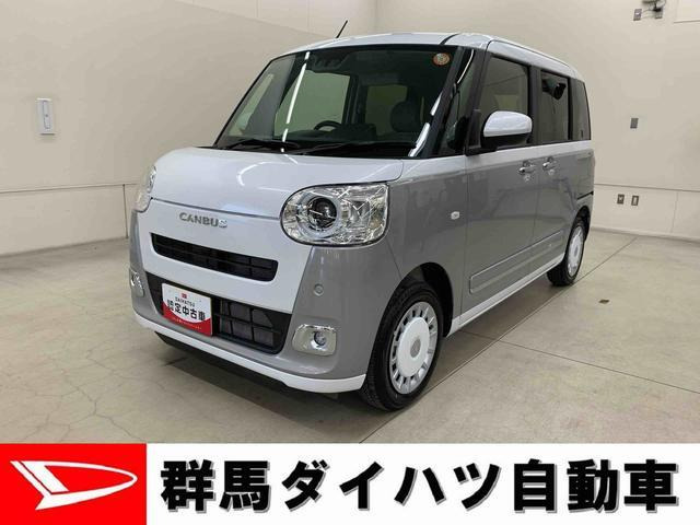 ムーヴキャンバス  ストライプス G