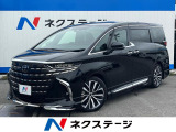 沖縄県内での販売・登録が条件※宮古島除く