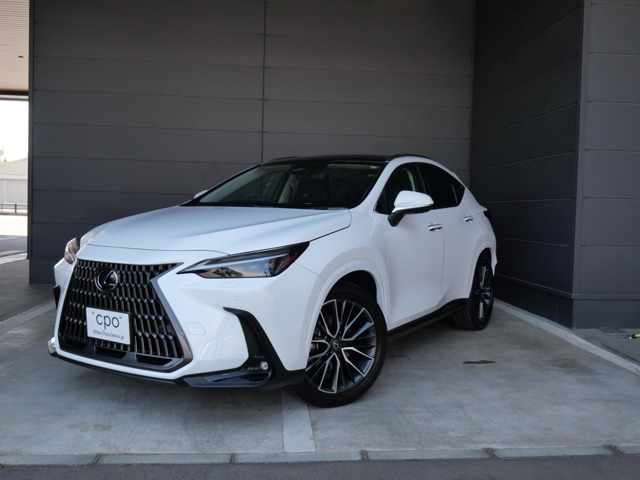 NX 350h バージョンL 4WD