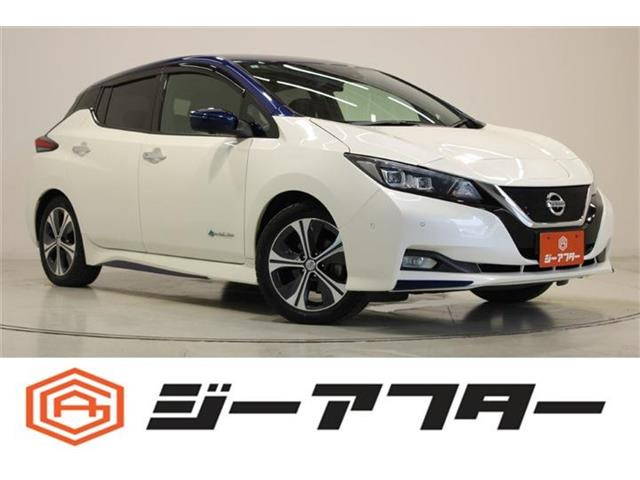 リーフ G 禁煙車 純正ナビ 全周囲カメラ
