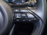 レーダークルーズコントロール/車間距離切替/レーントレーシングアシスト