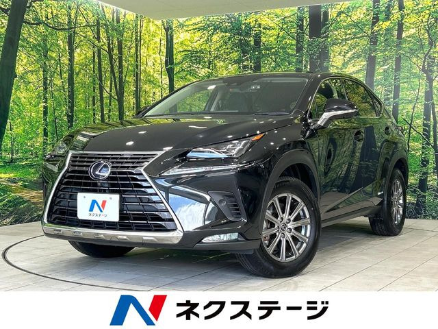 NX300h Iパッケージ