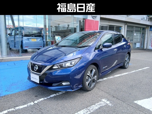 リーフ e+ G