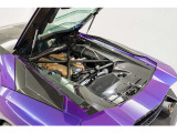 Transparent Engine Bonnet
