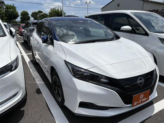 リーフ e+ X 禁煙車 純正9インチナビ フルセグTV