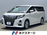 両側電動スライドドア バックカメラ クルコン LEDヘッド