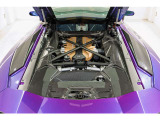 Engine details in Carbon fiber