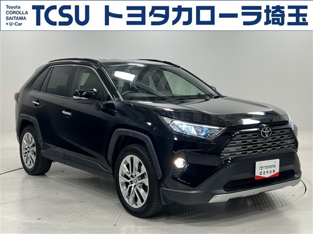 RAV4 2.0 G Zパッケージ 4WD（6BA-MXAA54）