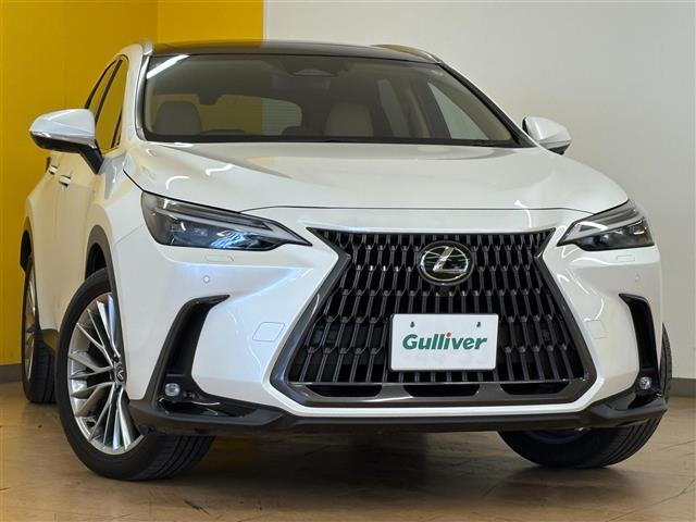 NX 250 バージョンL 4WD 4WD 本革シート