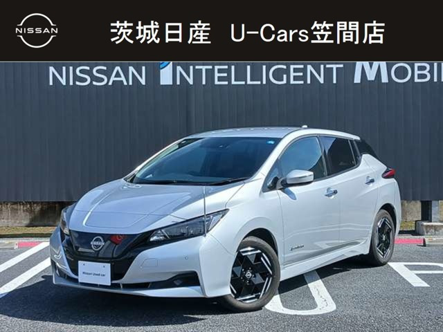 リーフ X