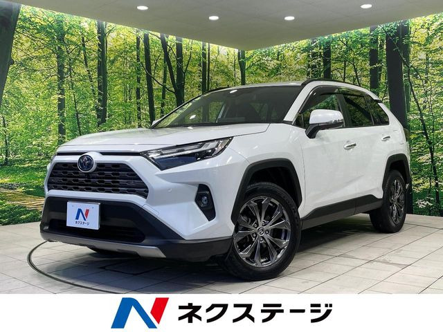RAV4 2.5 ハイブリッド G E-Four 4WD （6AA-AXAH54）