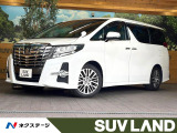純正10インチナビ バックカメラ プリクラッシュセーフティ