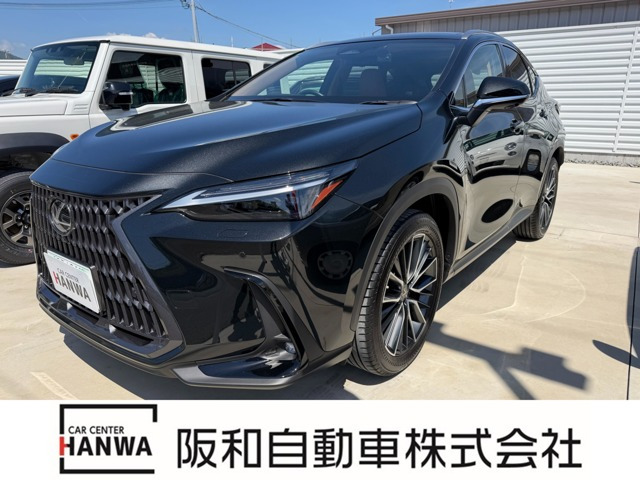 NX 250 バージョンL NX 250 バージョンL