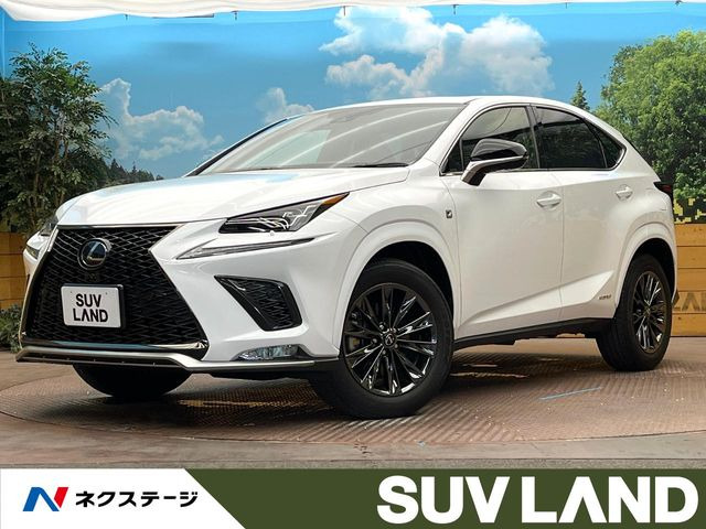 NX 300h クール&ブライト