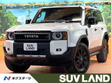 禁煙車 ディーゼル 丸目ヘッド モデリスタ JBLサウンド サンルーフ