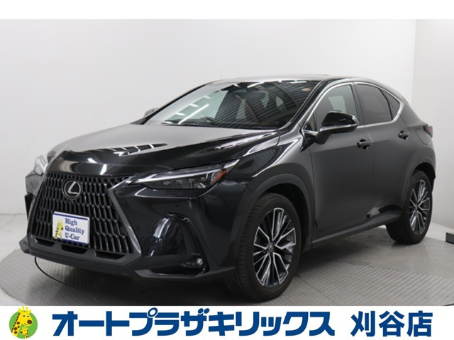 NX 250 バージョンL NX 250 バージョンL