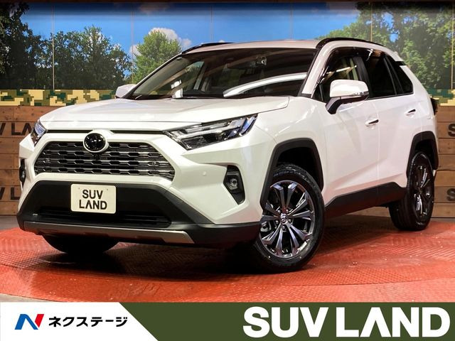 RAV4 2.5 ハイブリッド G E-Four 4WD （6AA-AXAH54）