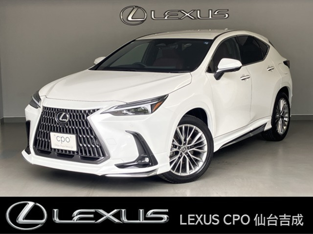 NX 250 バージョンL NX 250 バージョンL