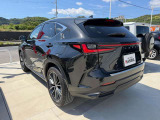 NX 250 バージョンL NX 250 バージョンL