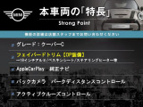 ミニ  クーパーC フェイバード・トリム