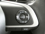 ステアリングスイッチでクルーズコントロール機能の操作ができます。長距離の高速走行時の疲労軽減や燃費に役立ちます。