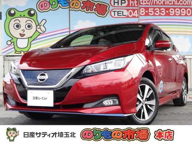 リーフ e+ X