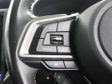 ステアリングスイッチ付き。前方から目を離すことなく操作することが可能です。