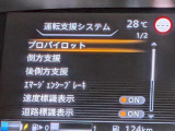 安全装備としてプロパイロットが装備されてます。