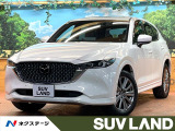 純正10型ナビ 純正10型ナビ 全周囲カメラ ブラインドスポットモニター