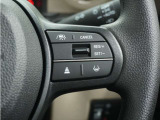 ◆アダプティブクルーズコントロール◆予め設定した車速内でクルマが自動的に加減速。前走車との適切な車間距離を維持しながら追従走行します。【LKAS】車線維持支援システムでステアリング操作を支援。