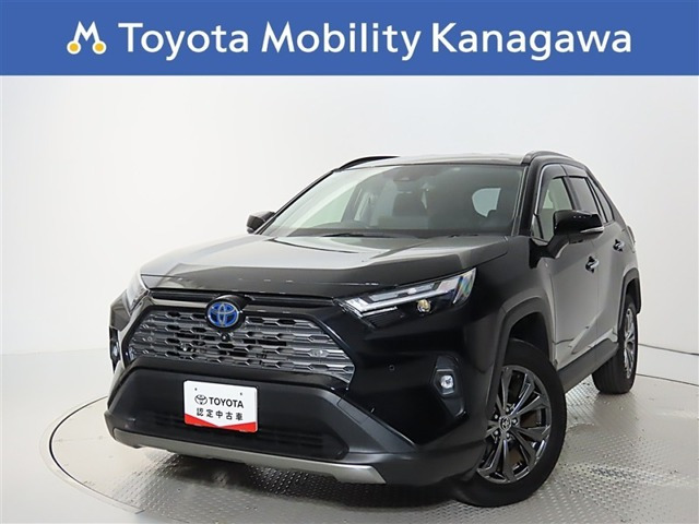 RAV4 2.5 ハイブリッド G E-Four 4WD （6AA-AXAH54）