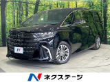 両側電動ドア 後席モニター 全周囲カメラ 100V電源