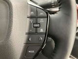 前方の車との車間を設定し、スピードを上げたり緩めたりを自動で行ってくれる追尾式の「レーダークルーズ」。上級装備の一つです!高級車にしかつかない嬉しい機能です。