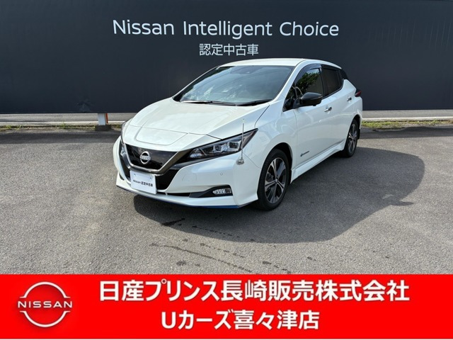 リーフ e+ アーバンクロム