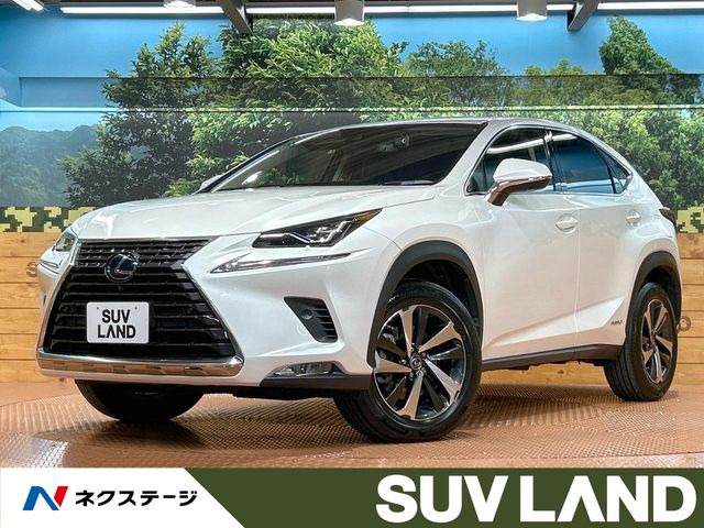 NX 300h バージョンL