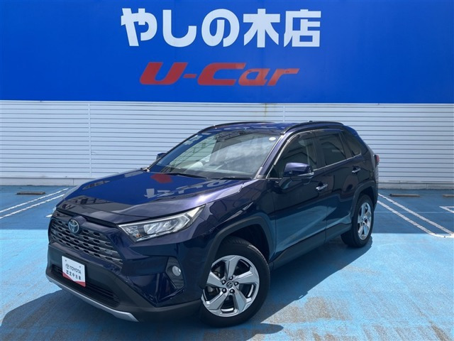 RAV4 2.0 G 4WD