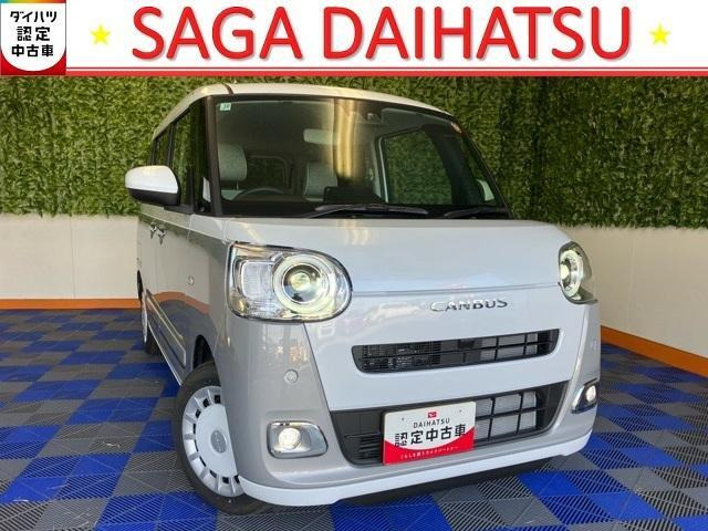 ムーヴキャンバス  ストライプス G